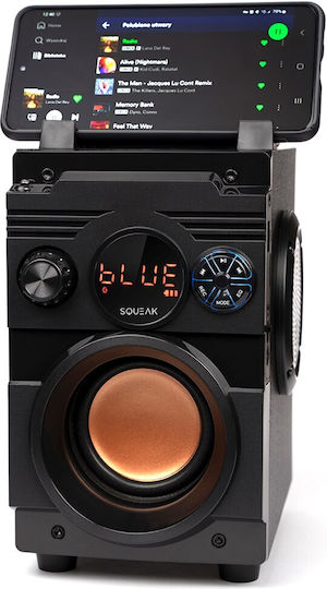 Squeak SQ1001 Ηχείο Bluetooth 20W με Ραδιόφωνο Μαύρο