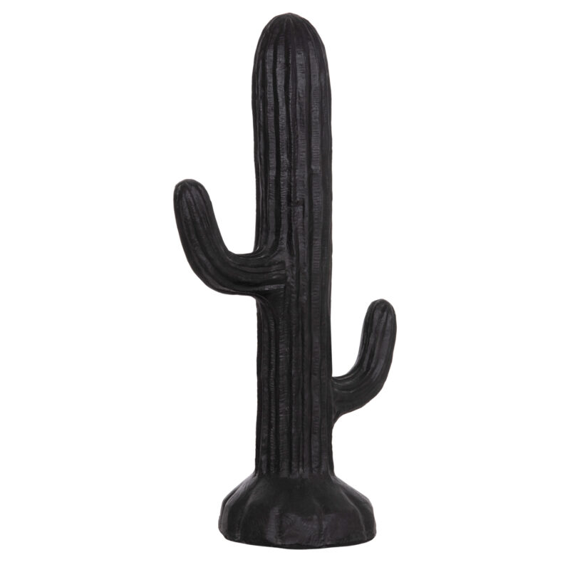 ΔΙΑΚΟΣΜΗΤΙΚΟΣ ΚΑΚΤΟΣ ΔΑΠΕΔΟΥ CACTUS HM4386.01L ΓΥΨΟΣ ΣΕ ΜΑΥΡΟ 63x37x150Υεκ.